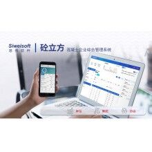 攪拌站系統(tǒng)軟件有哪些？思偉軟件砼行APP